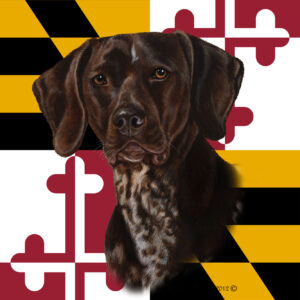 GERMAN SHORT HAIR POINTER BEST OF BREED - GARDEN FLAG