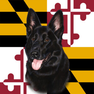 GERMAN SHEPHERD BLACK BEST OF BREED - GARDEN FLAG