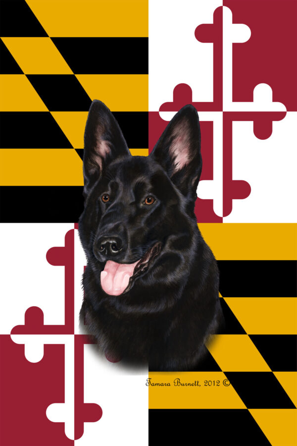 GERMAN SHEPHERD BLACK BEST OF BREED - GARDEN FLAG