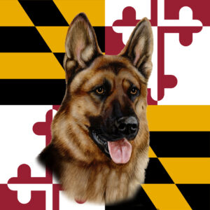 GERMAN SHEPHERD BEST OF BREED - GARDEN FLAG