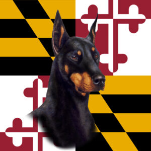 DOBERMAN BLACK AND TAN BEST OF BREED - GARDEN FLAG