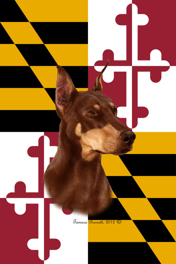 DOBERMAN RED CROPPED BEST OF BREED - GARDEN FLAG