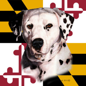 DALMATIAN BEST OF BREED - GARDEN FLAG