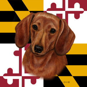 DACHSHUND RED BEST OF BREED - GARDEN FLAG