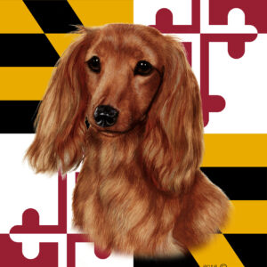 DACHSHUND LONG HAIR BEST OF BREED - GARDEN FLAG