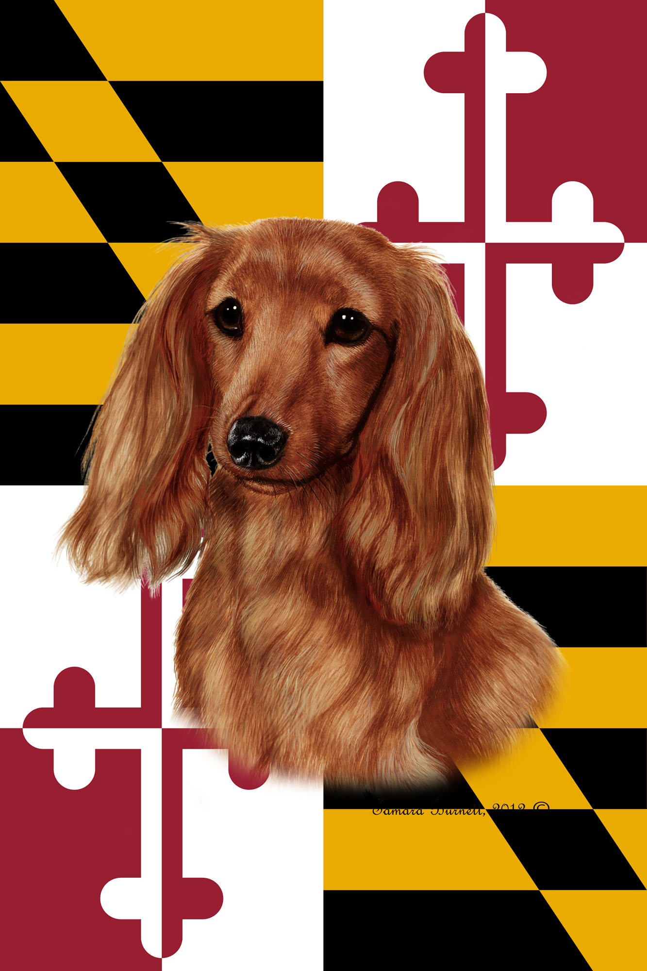 DACHSHUND LONG HAIR BEST OF BREED - GARDEN FLAG