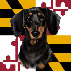 DACHSHUND BEST OF BREED - GARDEN FLAG