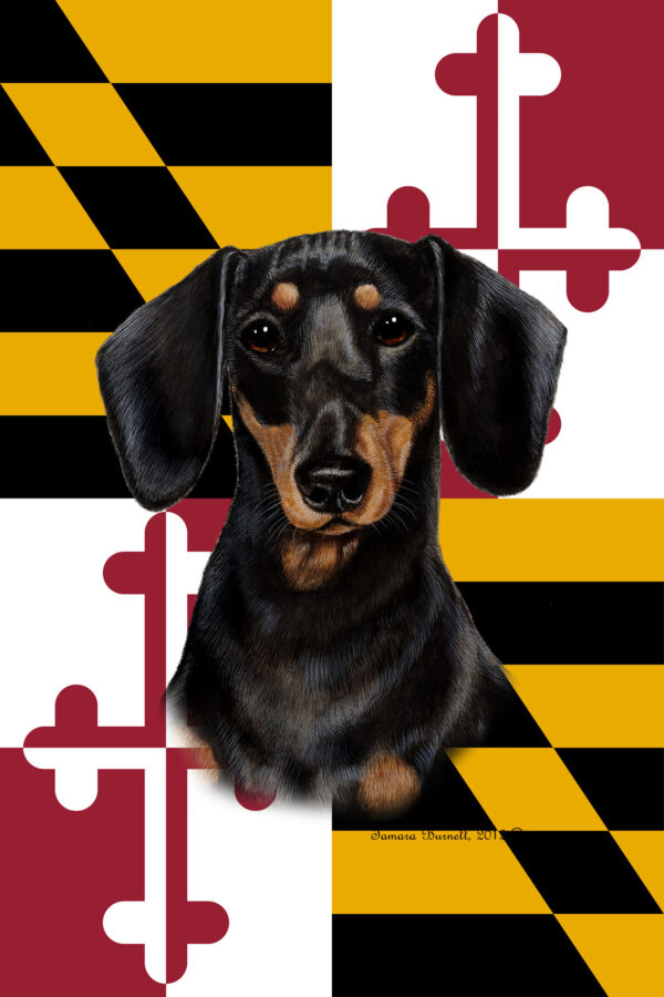 DACHSHUND BEST OF BREED - GARDEN FLAG