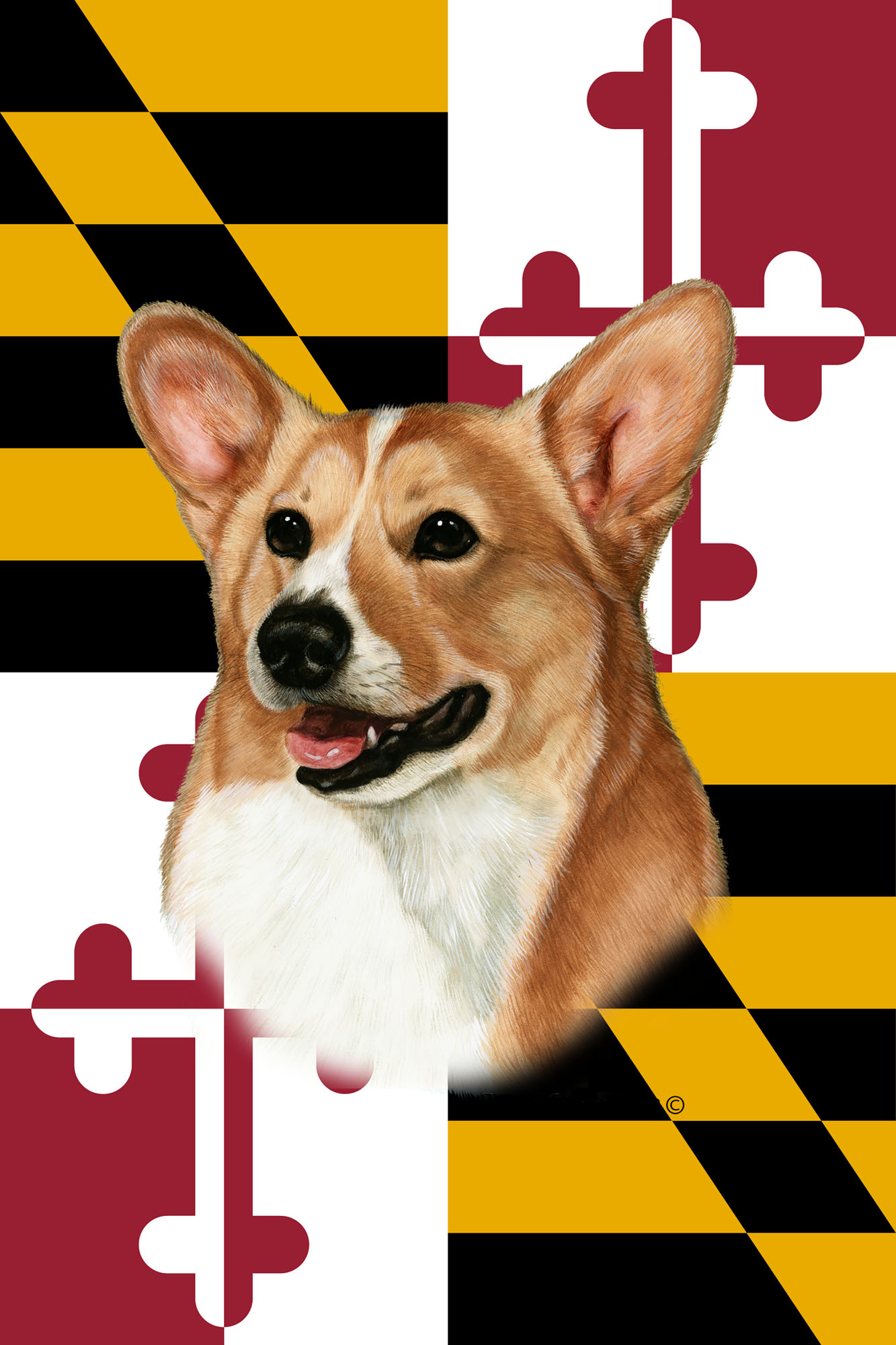 CORGI PEMBROKE BEST OF BREED - GARDEN FLAG
