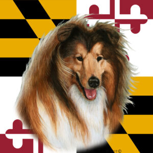 COLLIE SABLE BEST OF BREED - GARDEN FLAG