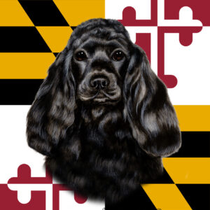 COCKER SPANIEL BLACK BEST OF BREED - GARDEN FLAG
