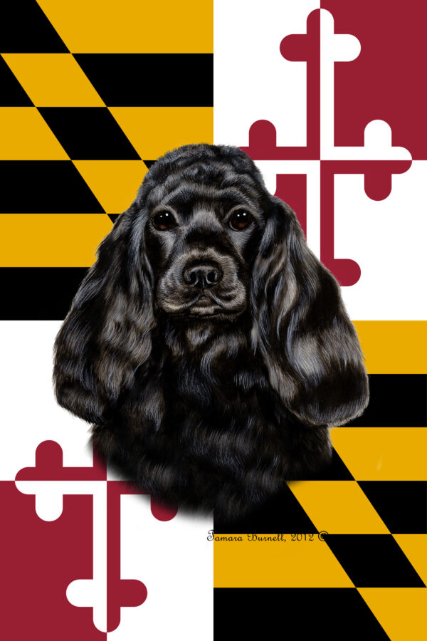 COCKER SPANIEL BLACK BEST OF BREED - GARDEN FLAG