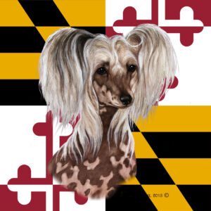 CHINESE CRESTED BEST OF BREED - GARDEN FLAG