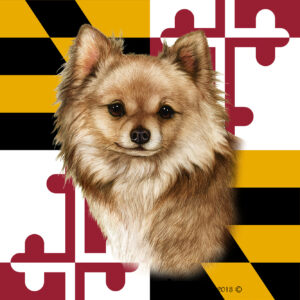 CHIHUAHUA LONG HAIR FAWN BEST OF BREED - GARDEN FLAG