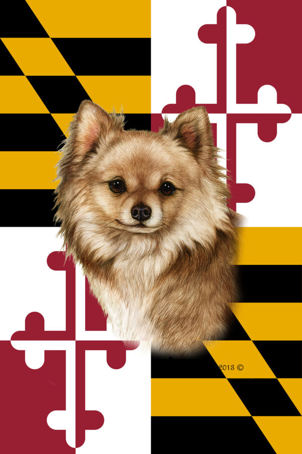 CHIHUAHUA LONG HAIR FAWN BEST OF BREED - GARDEN FLAG