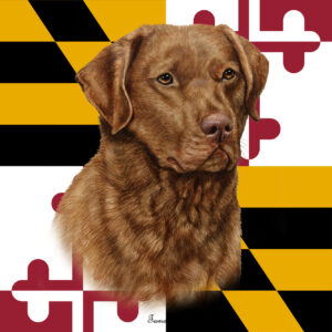 CHESAPEAKE BAY RETRIEVER BEST OF BREED - GARDEN FLAG