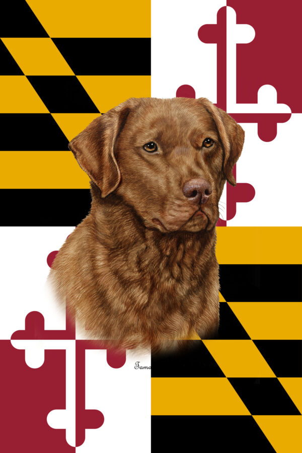 CHESAPEAKE BAY RETRIEVER BEST OF BREED - GARDEN FLAG