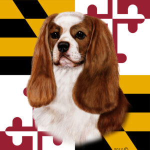 CAVALIER KING BLENHEIM BEST OF BREED - GARDEN FLAG