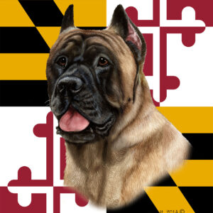 CANE CORSO FAWN BEST OF BREED - GARDEN FLAG