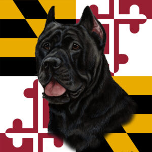CANE CORSO BLACK BEST OF BREED - GARDEN FLAG