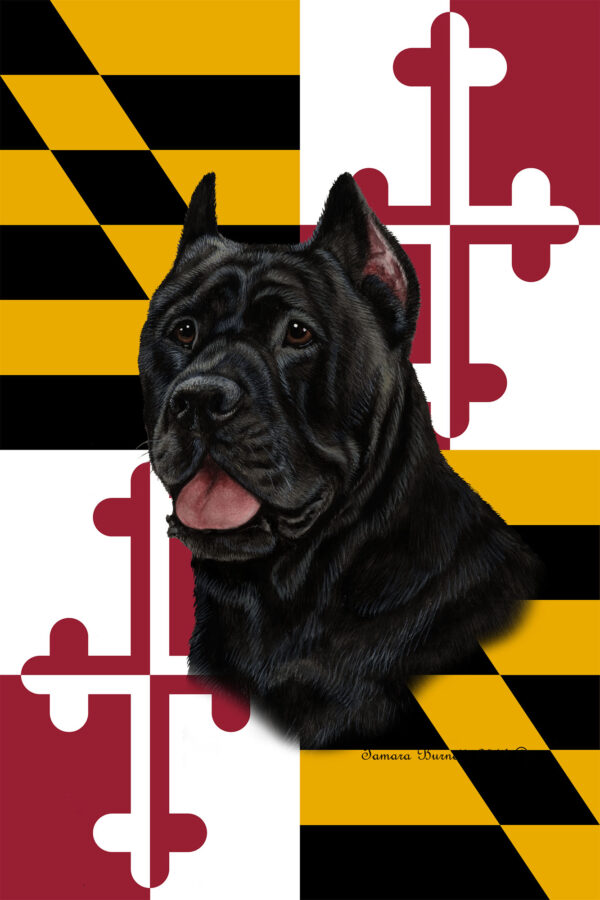 CANE CORSO BLACK BEST OF BREED - GARDEN FLAG