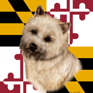CARIN TERRIER WHEATEN BEST OF BREED - GARDEN FLAG