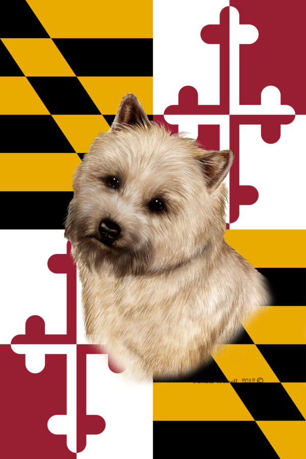 CARIN TERRIER WHEATEN BEST OF BREED - GARDEN FLAG