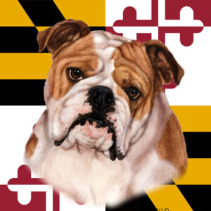 BULLDOG RED WHITE BEST OF BREED - GARDEN FLAG