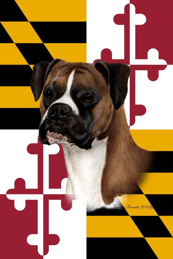 BOXER FAWN UNCROPPED BEST OF BREED - GARDEN FLAG