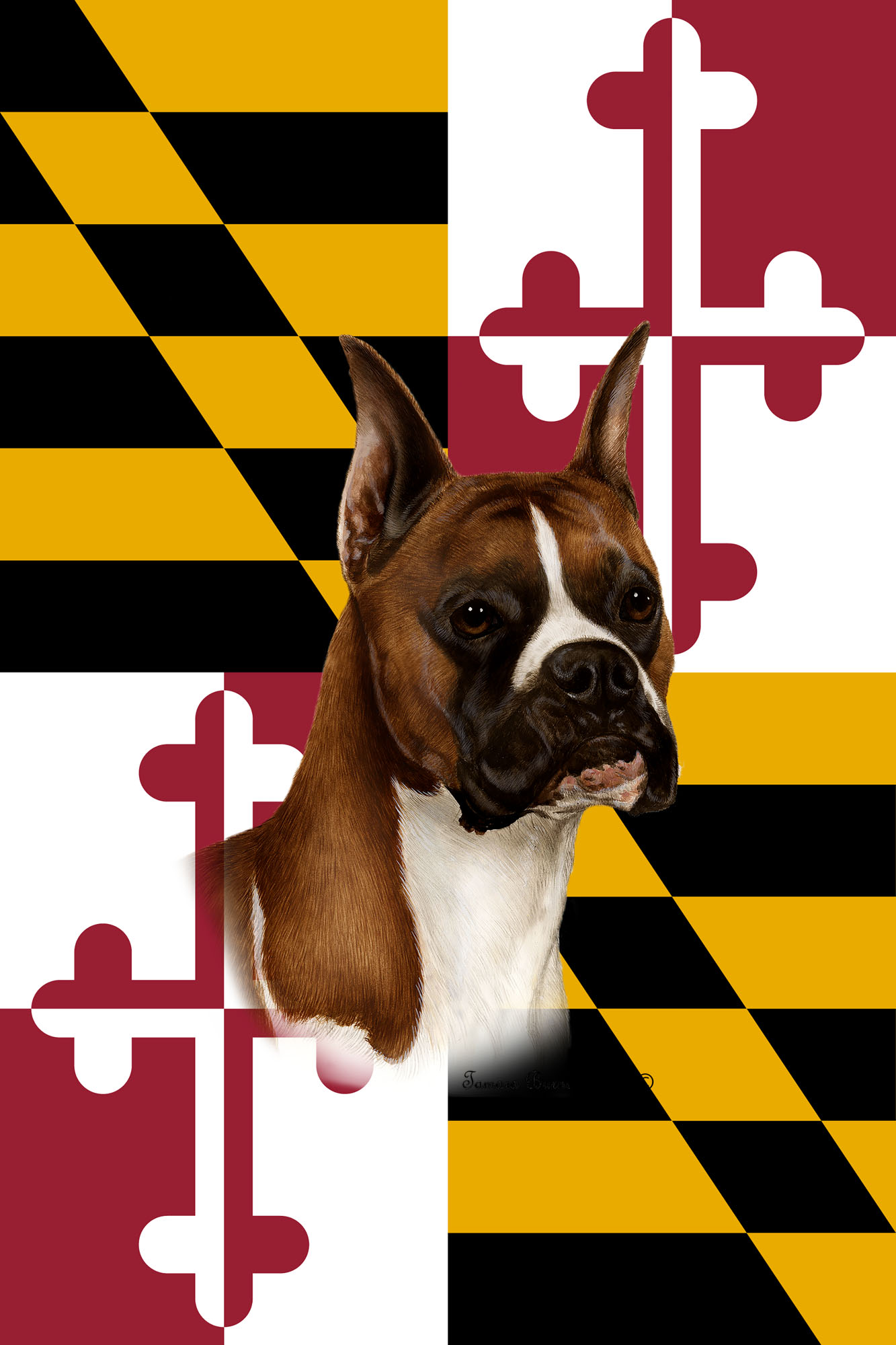 BOXER FAWN CROPPED BEST OF BREED - GARDEN FLAG