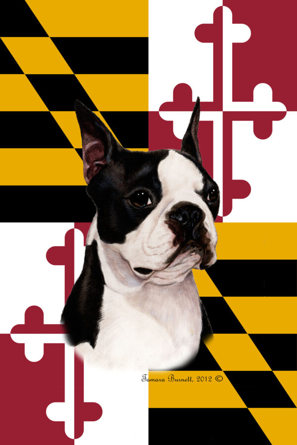 BOSTON TERRIER BEST OF BREED - GARDEN FLAG