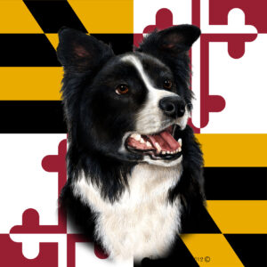 BORDER COLLIE BEST OF BREED - GARDEN FLAG