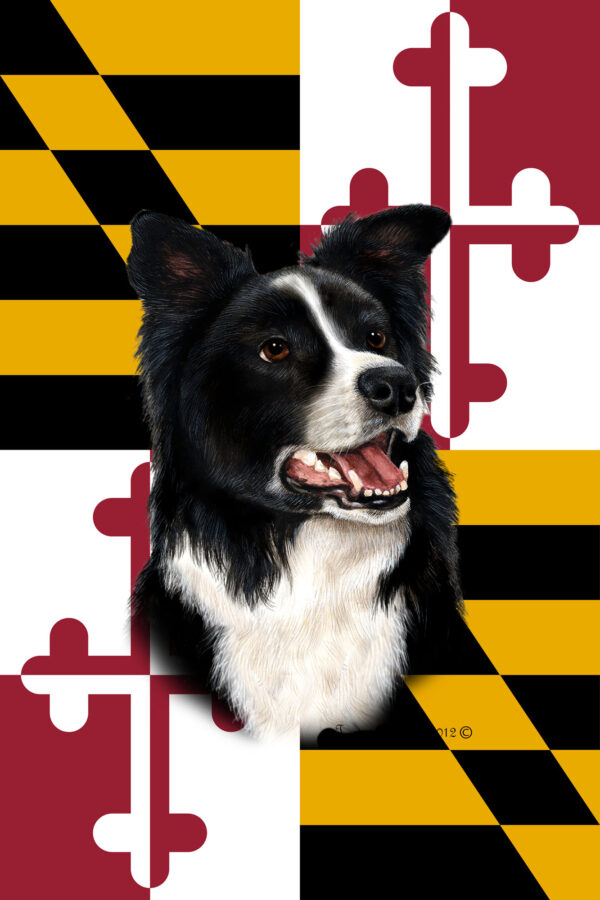 BORDER COLLIE BEST OF BREED - GARDEN FLAG