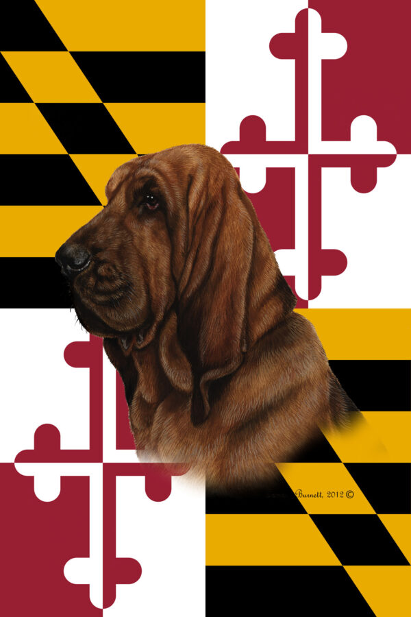 BLOOD HOUND BEST OF BREED - GARDEN FLAG