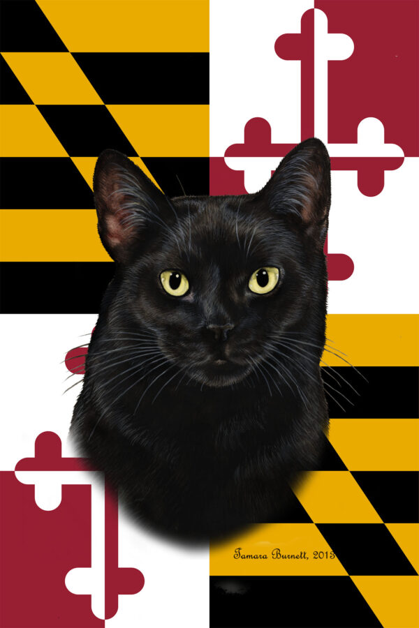 BLACK CAT SHORT HAIR BEST OF BREED - GARDEN FLAG
