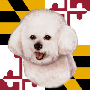 BICHON FRISE BEST OF BREED - GARDEN FLAG
