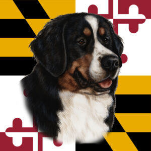BERNESE MOUNTAIN DOG BEST OF BREED - GARDEN FLAG