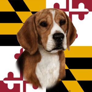 BEAGLE BEST OF BREED - GARDEN FLAG
