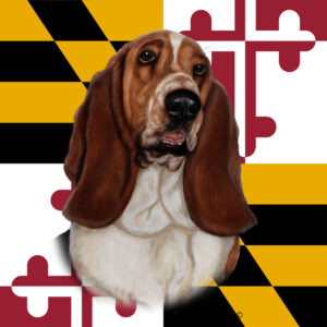 BASSET HOUND BEST OF BREED - GARDEN FLAG