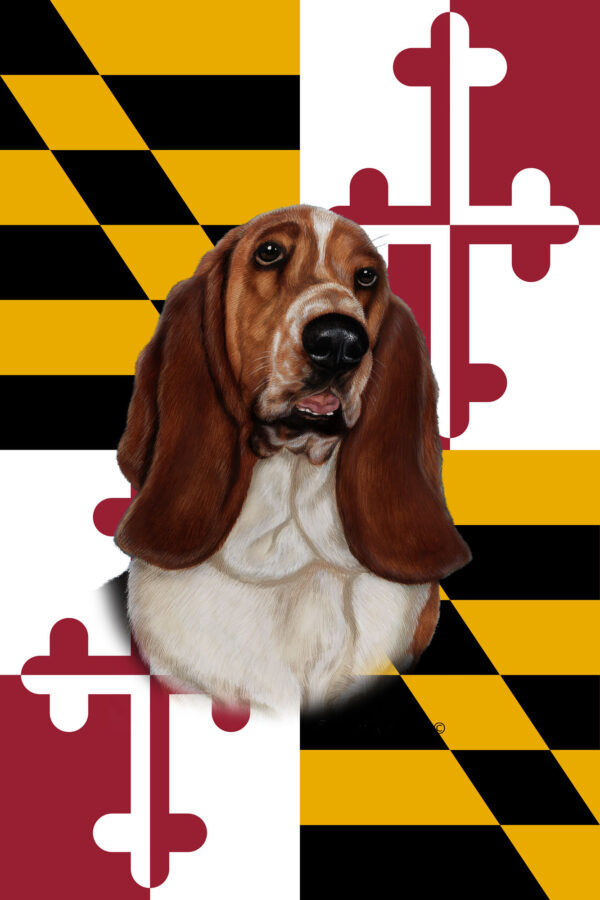 BASSET HOUND BEST OF BREED - GARDEN FLAG