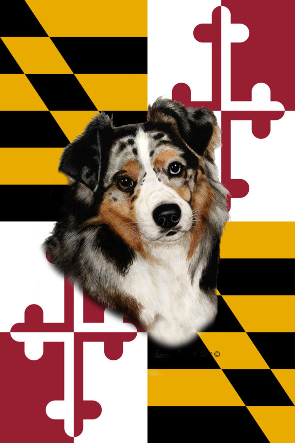 AUSTRALIAN SHEPHERD BLUE MERLE BEST OF BREED - GARDEN FLAG