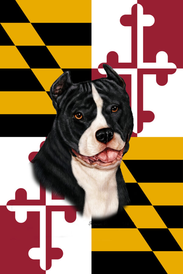 AMERICAN PITBULL BW BEST OF BREED - GARDEN FLAG
