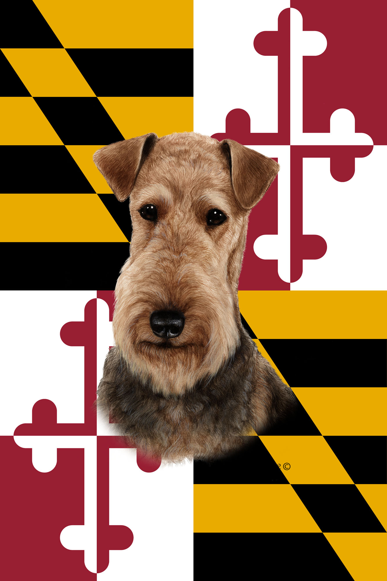 AIREDALE BEST OF BREED - GARDEN FLAG