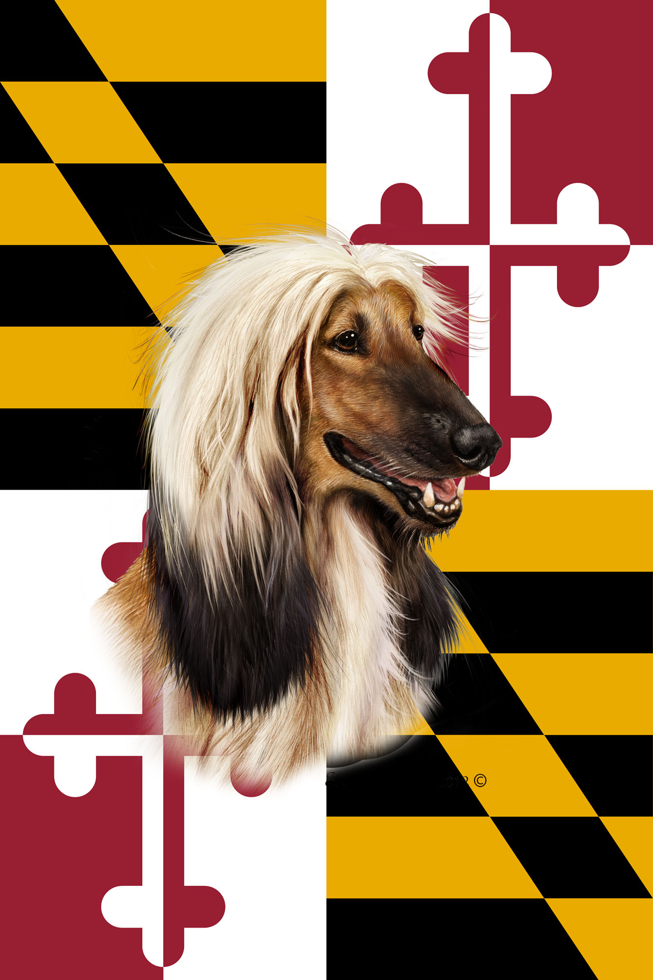 AFGHAN HOUND BEST OF BREED - GARDEN FLAG