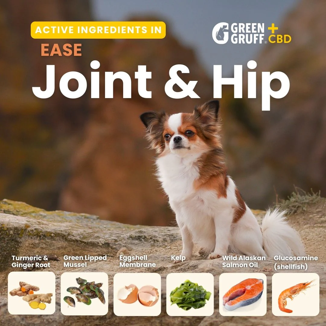 Joint and Hip CBD Supplements For Dog - Image 2