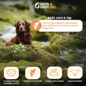 Joint and Hip CBD Supplements For Dog