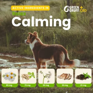 Calming CBD Supplement For Dogs