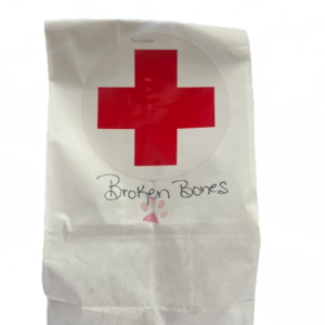 Doggie Style Broken Bones