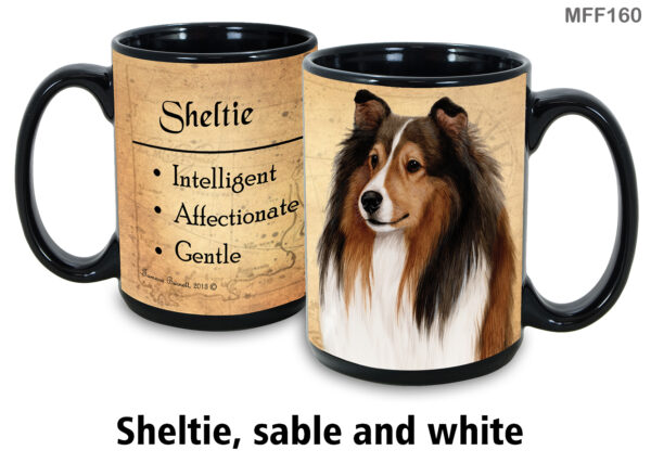 Sheltie, sable and white