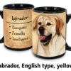 English Labrador Yellow Mug - Image 2
